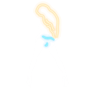 Bio